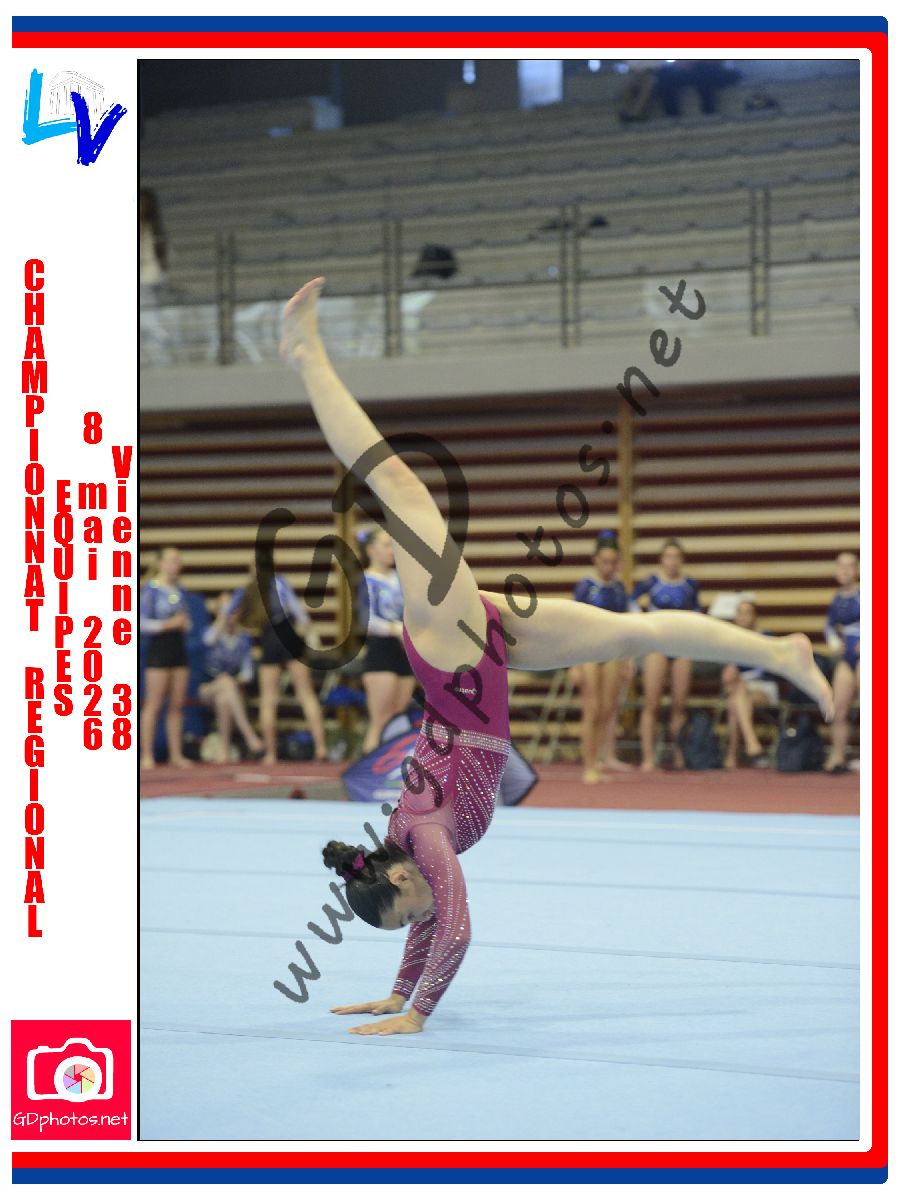 1156856