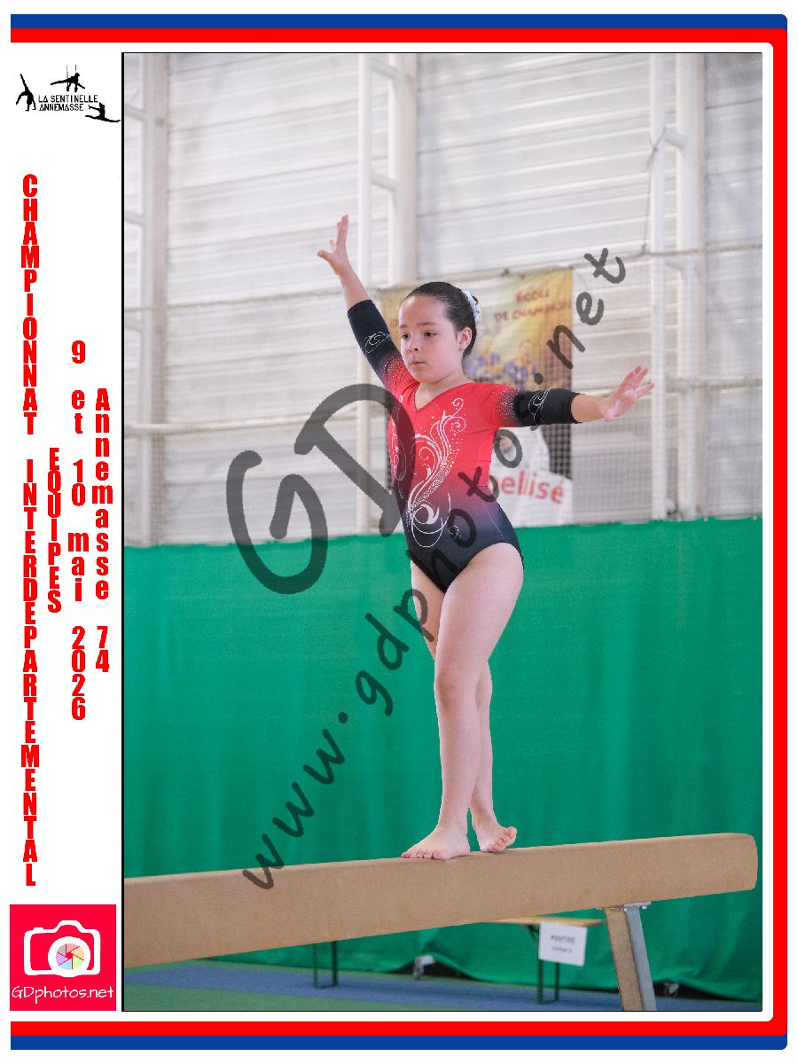 4546606