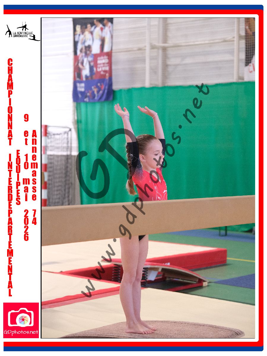4546615