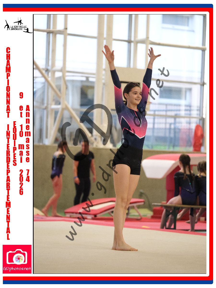 4558481