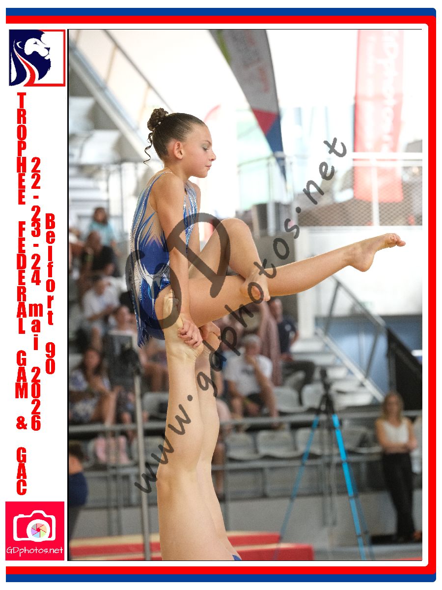 5381342