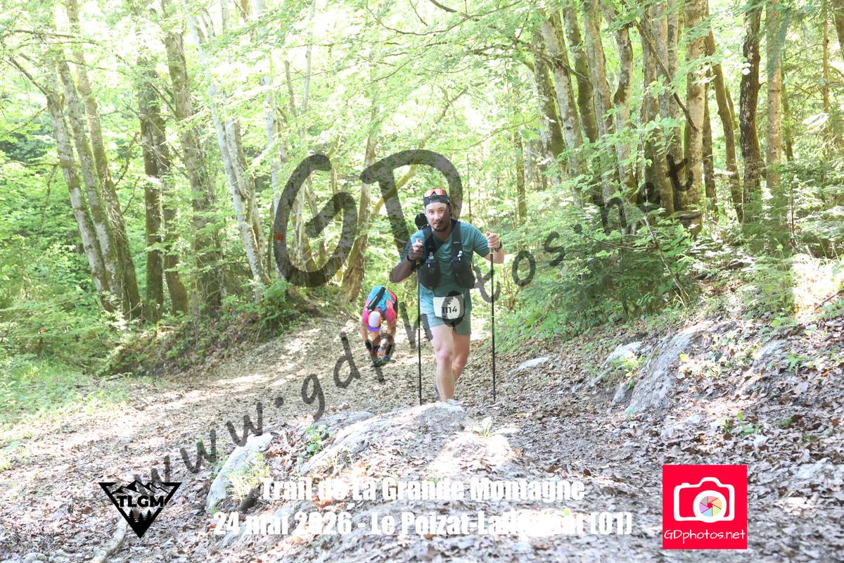 3630265
