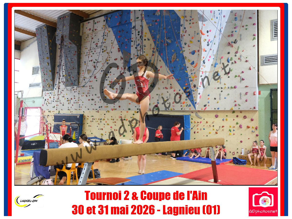 4562376