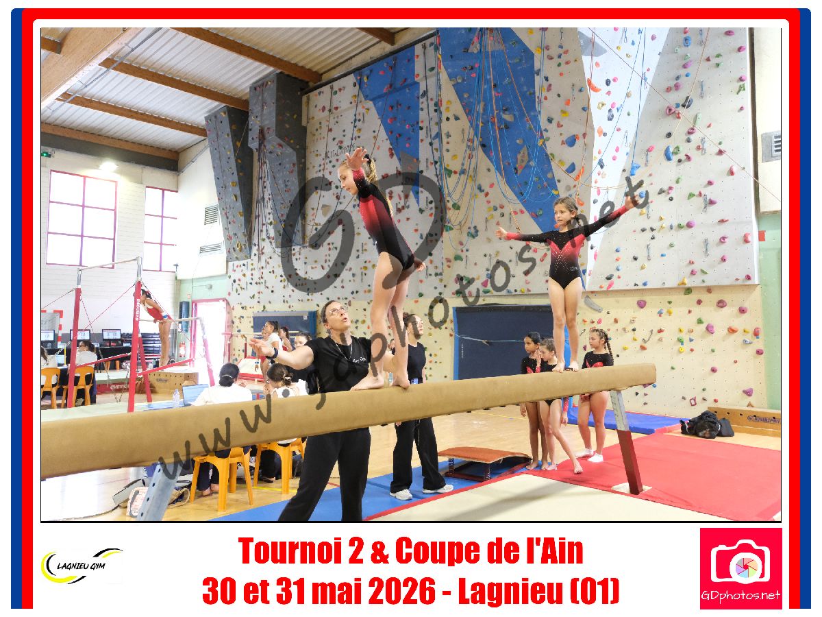 4562823