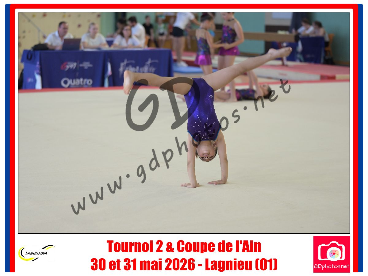 4566011