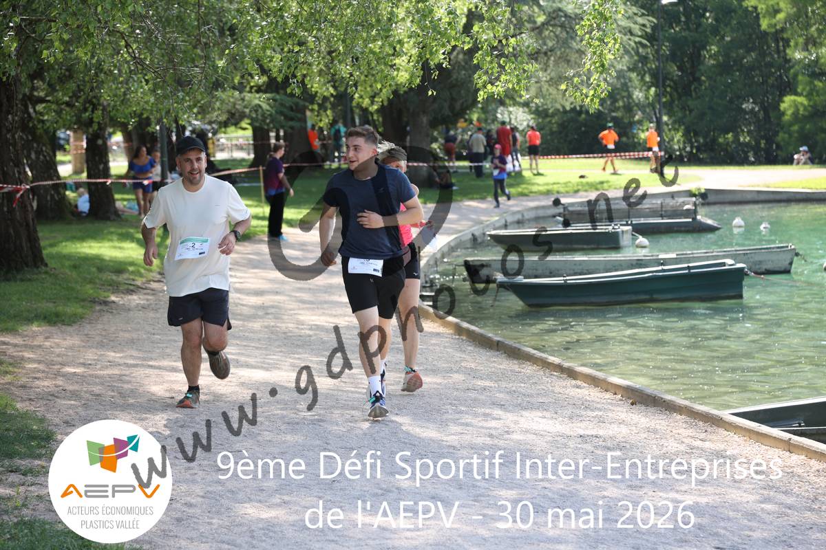 3634523