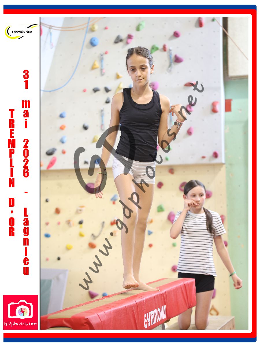 4566907