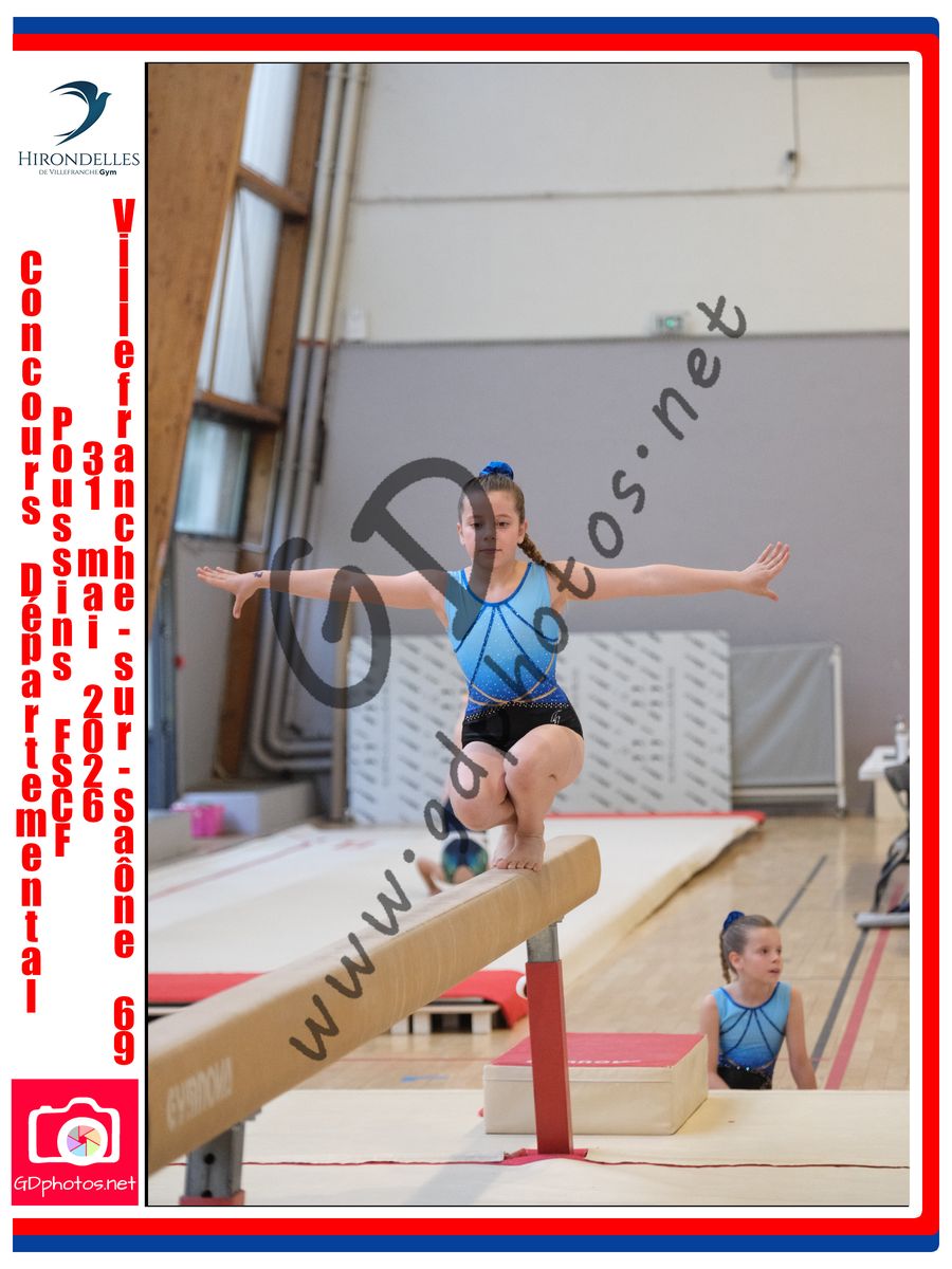 3636321
