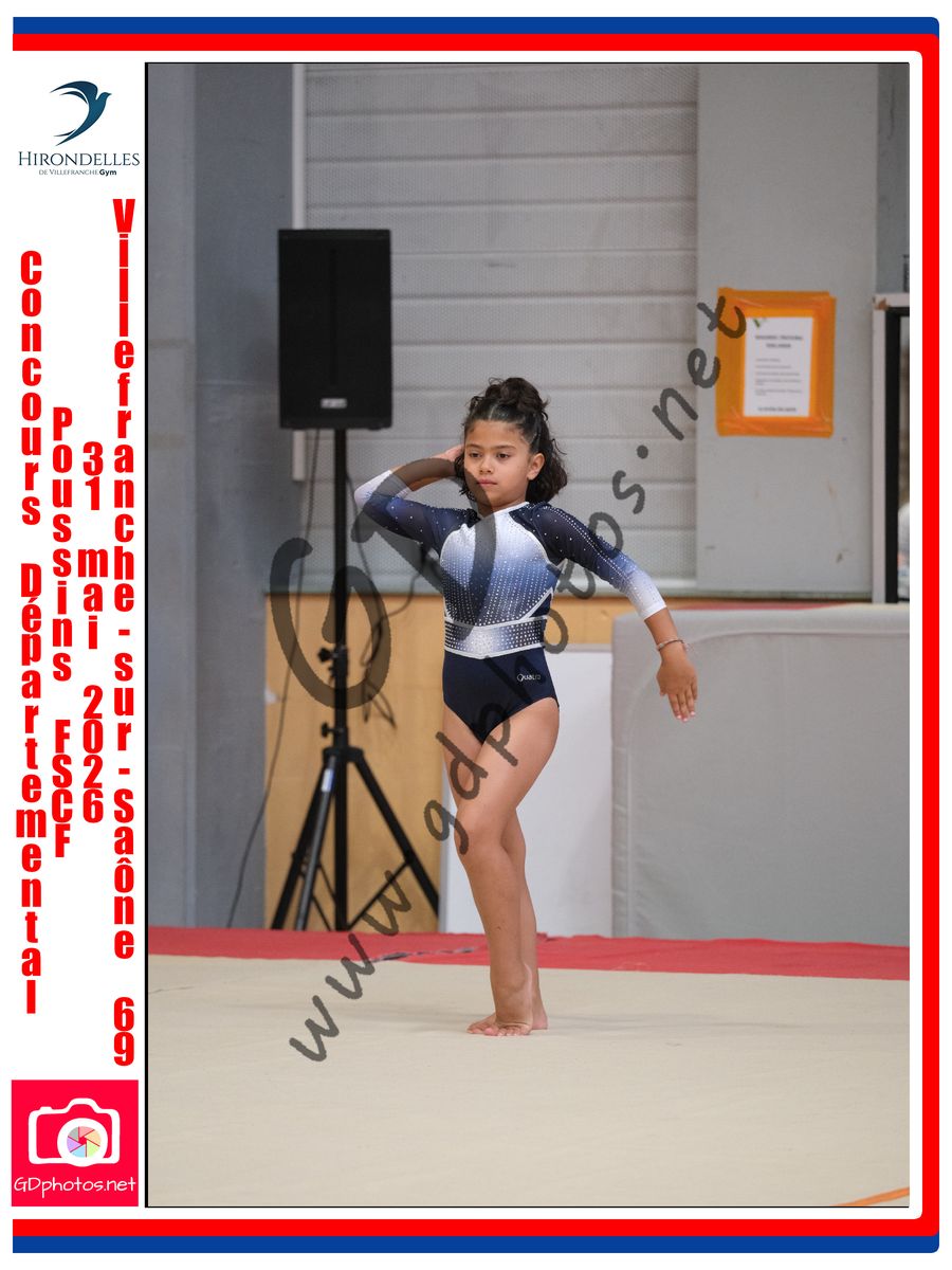 3636503