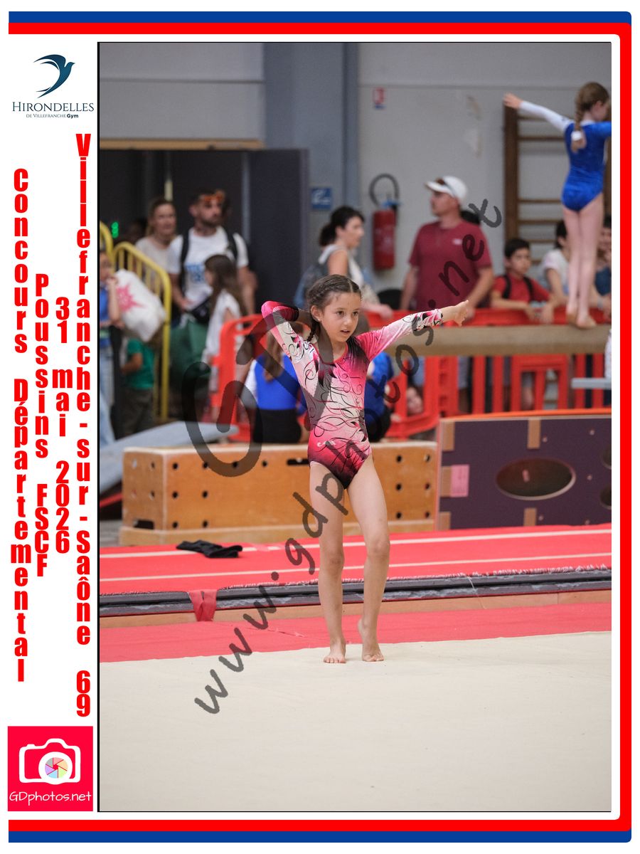 3637417