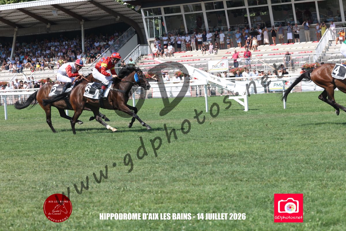3204249