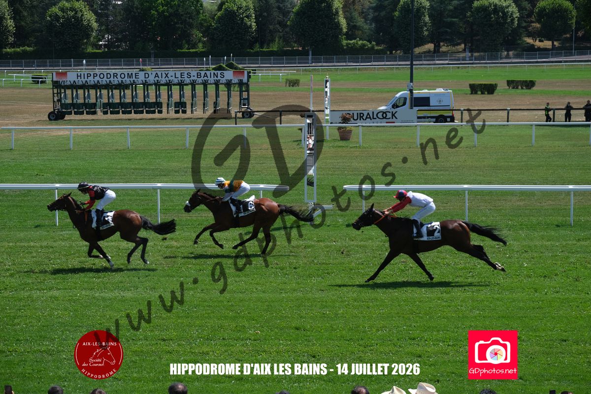 3204302