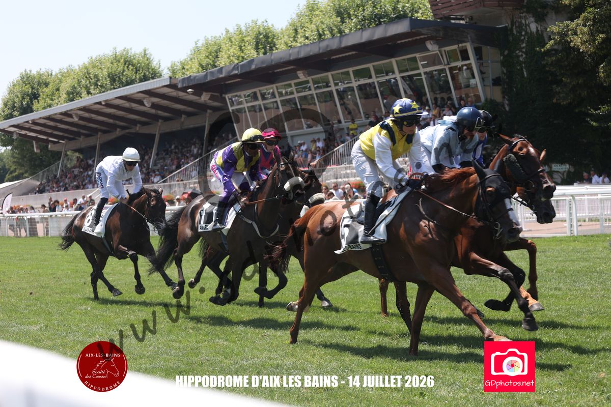 3204394