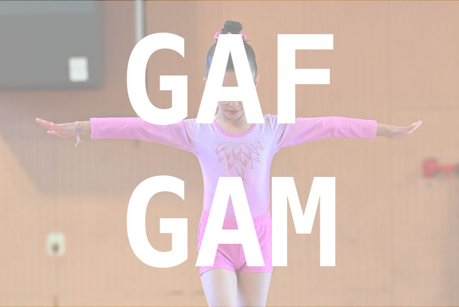 eventDat/miniatures/20260426GYMfirminy.jpg
