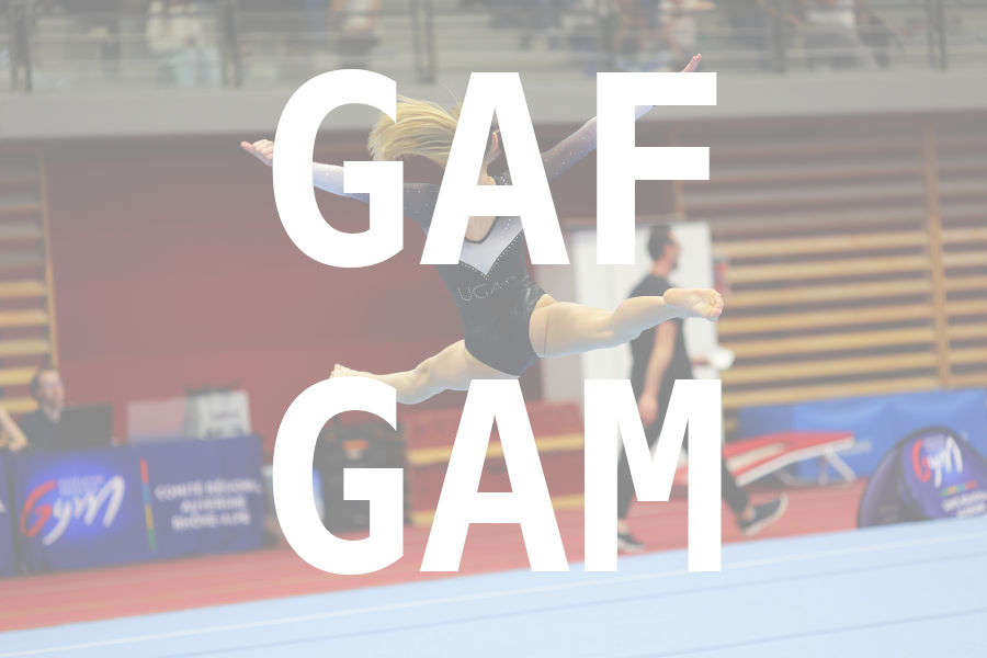eventDat/miniatures/20260508GYMvienne.jpg