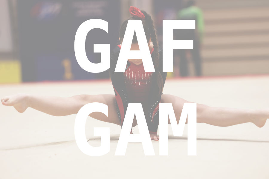 eventDat/miniatures/20260509GYMclermont.jpg